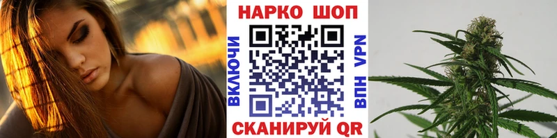 A PVP Волоколамск