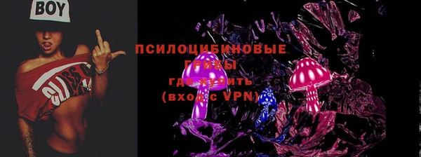 не бодяженный Алзамай